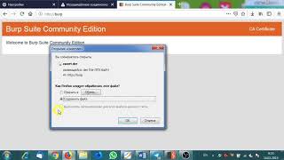 Install burp suite ssl cert