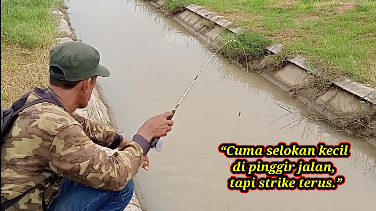 Cuman selokan pinggir jalan tapi ikannya melimpah