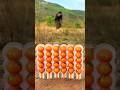 Survival Skills: SMART idea and USEFUL Orange Candy 😱🍊 #bushcraft#camping#outdoors#survival
