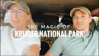 The Magical Kruger National Park | Satara Rest Camp