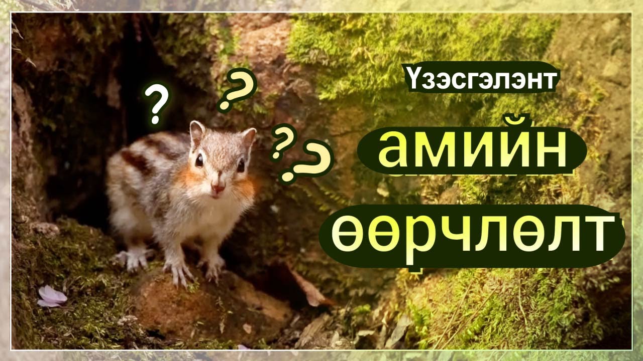 [FactPlus] Үзэсгэлэнт амийн өөрчлөлт | Бурханы сүм дэлхийн сайн мэдээний авралын зар нийгэмлэг