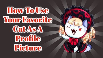 How To Use Your Favorite Cat As A Profile Picture | Cat Game: The Cat Collector
