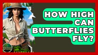How High Can Butterflies Fly? - Reptilian Wonders