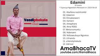 Vendiphekula - 09 Ndizawubuya Ngomso
