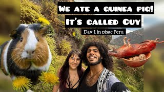 2Nd To Last Peru Vlog Eating Guinea Pig