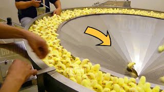 Amazing Modern Poultry Farm Technology - How Poultry Farms Make Millions of Dollars with Eggs &amp; Meat