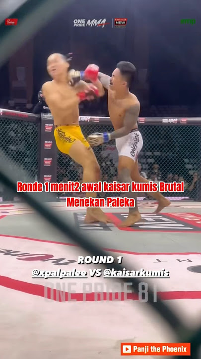 Kaisar Kumis VS Paleka brutal di dalam octagon Onepridemma #mma #onepride #combatsports