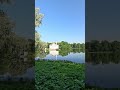 The Large Pond in Catherine Park x Beautiful Mirror Reflection in Water #garden #travel #explore
