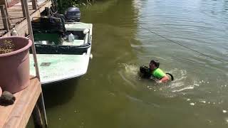 Dog swimming in the Bayou by Off  Grid Homestead  68 views 3 months ago 2 minutes, 19 seconds