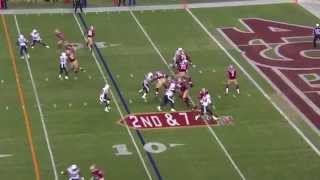 2014-2015 NFL's Best Season Plays