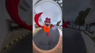 ✨ bidi bada bidi bada ✨ (song from Chibi Maruko Chan opening song 🎵)