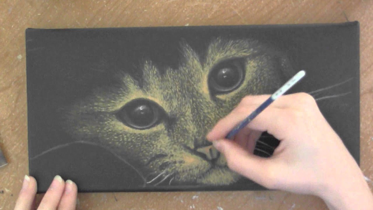 Peinture Chat Acrylique Youtube Peinture Chat Acrylique Youtube