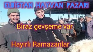 11 Mart 2024 Elbi̇stan Hayvan Pazari