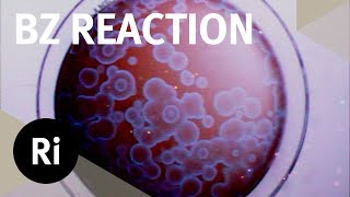 The Belousov-Zhabotinsky Reaction - Christmas Lectures with Ian Stewart