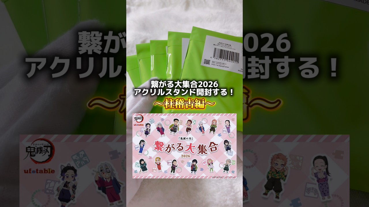 The highly popular Hashira Training ver. of the Connecting Series 