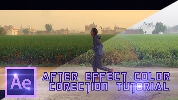 After Effect Basic Color Correction Tutorial Just 5 Minute