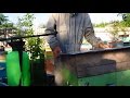 Пчеловодство борьба с варроатозом (клещем варроа)