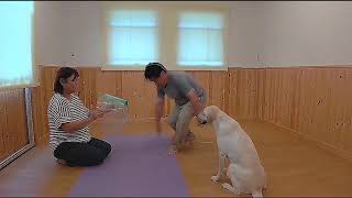 Do as I Do 2020 Video challenge