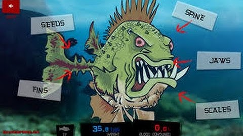 Feed us Lost Island 3 - 02