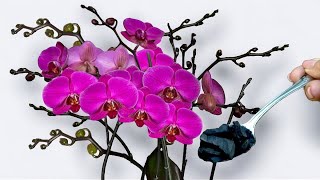 THE BEST WAY TO FERTILIZER ORCHIDS! 🌸 Natural methods for maximum blooms!