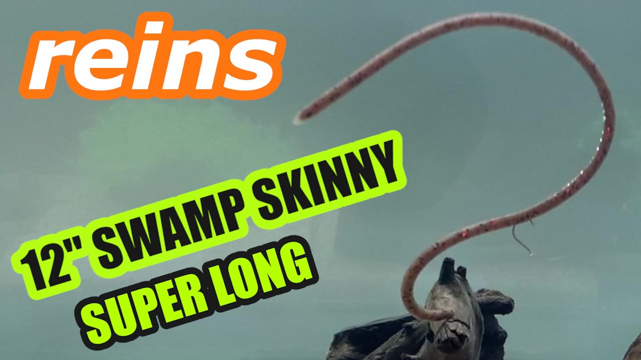 レインズ　スワンプスキニー　6.5 　21点セット 　reins レインズ スワンプスキニー 6.5 21点セット reins 9インチレインズ