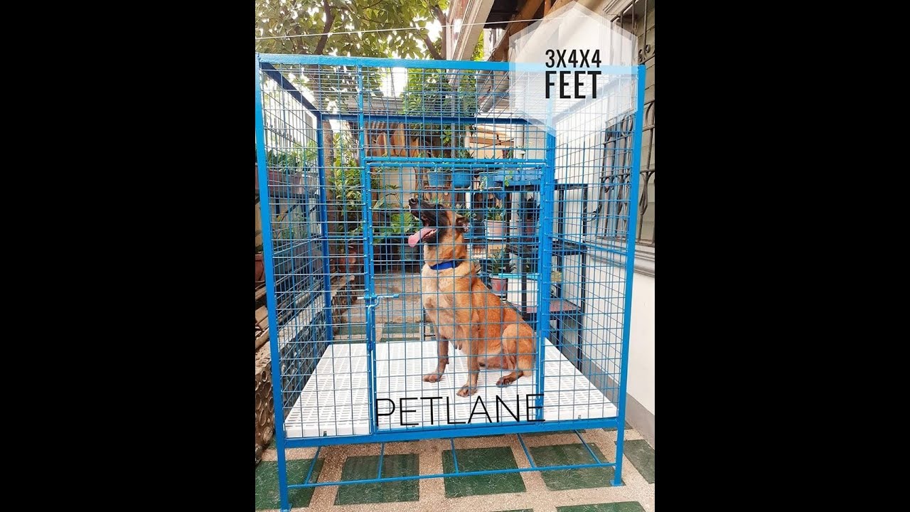 Heavy Duty Cages Available At Pet Lane