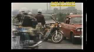 ワイルドセブン　キャロルインターナショナル 福岡