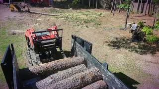 Perkins Tree Service