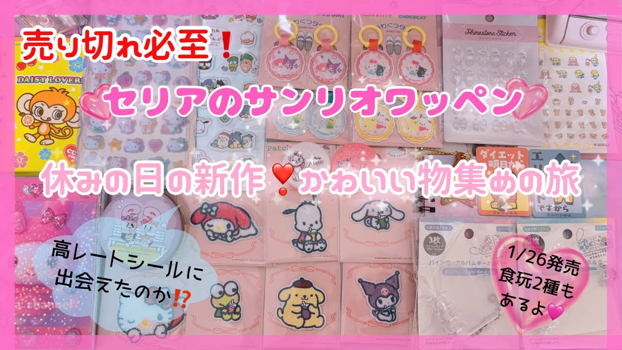 売り切れ必至❗️セリア大人気のサンリオワッペン 新作・かわいい物・便利な収納集めの旅♪