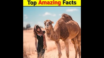 Top 5 Amazing Facts in 30 Second😱😱💯 || Interesting Facts || #shorts #shorts #youtube_shorts