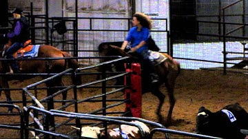 Hickorys Peppy Dun - 2/6/13 sorting practice 2 - Valley View Ranch