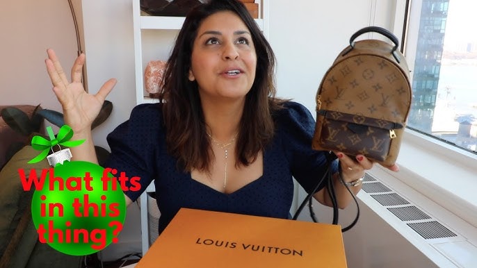 LOUIS VUITTON Palm Springs Mini Monogram Reverse Canvas Backpack Bag B