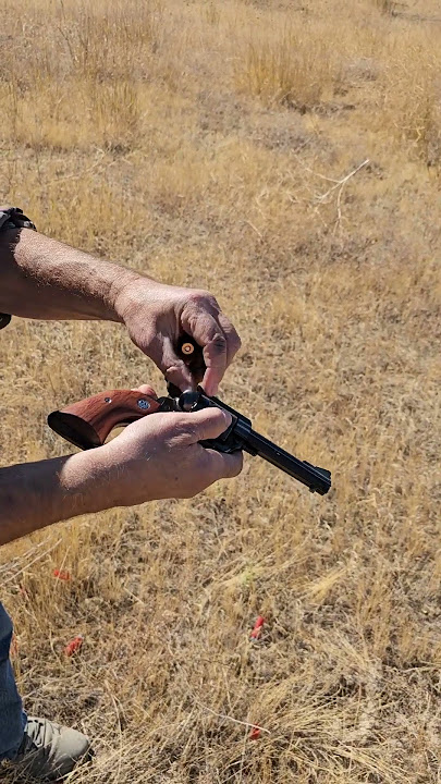 Ruger Blackhawk 45 Colt #ruger #blackhawk #45colt #revolver #shoot #45colt #shooting #brianpearce