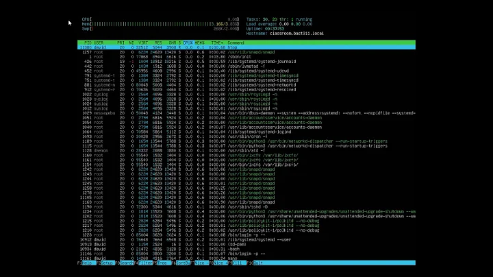 Monitoring Processes with 'htop'