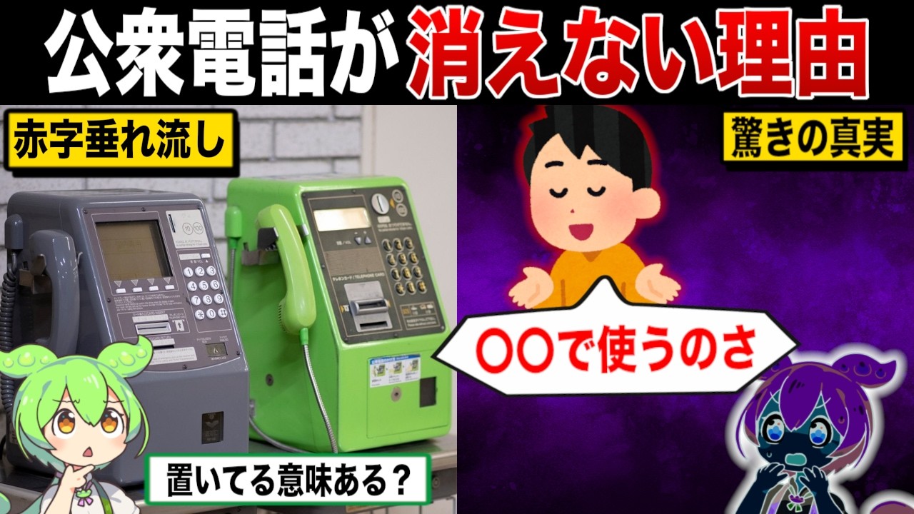 Why Payphones Are Still Around Despite Losing Money [Zundamon