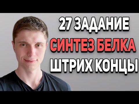 Задачи на синтез белка | Штрих концы и антипараллельность | 27 задание ЕГЭ по биологии