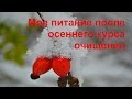 Мое питание после осеннего курса очищения