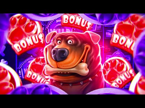 Я СЛОВИЛ ОГРОМНЫЙ ЗАНОС В ДВУХ ВЕРСИЯХ THE DOG HOUSE (ЭТО КРАСИВО) 🔥
