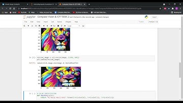 Computer Vision & IOT TASK 2