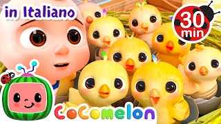 Quanti pulcini? | CoComelon Italiano - Canzoni per Bambini