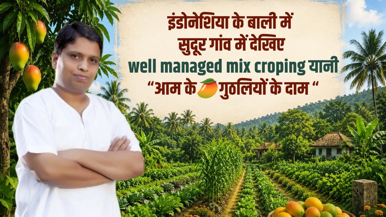 इंडोनेशिया के बाली में सुदूर गांव में देखिए well managed mix croping यानी “आम के 🥭 गुठलियों के दाम “