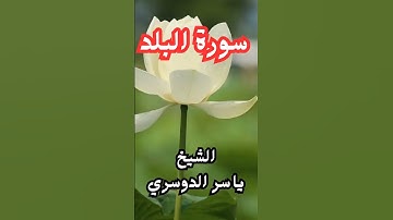 سورة البلد بصوت الشيخ ياسر الدوسري #هاناكو_لكانا#لوفي_لكانا