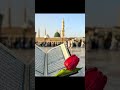 Sarkar Ka Nokar Hun #allah #naat #muhammadﷺ #islam