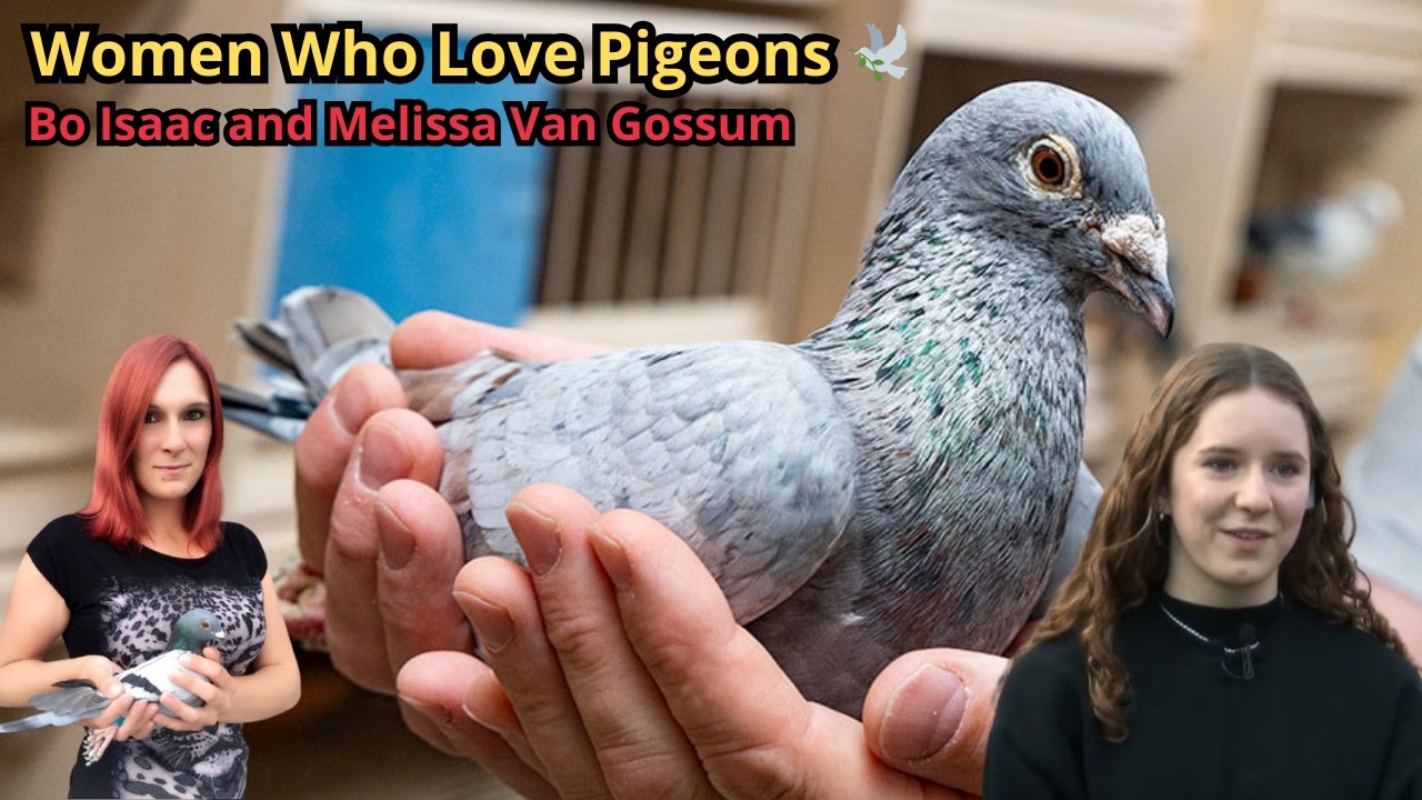 Две женщины, которые любят голубей 🕊️ | Вдохновляющие истории Бо Айзека и Мелиссы Ван Госсум