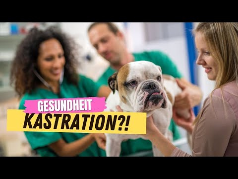 Video: Die Vorteile der Kastration von Welpen