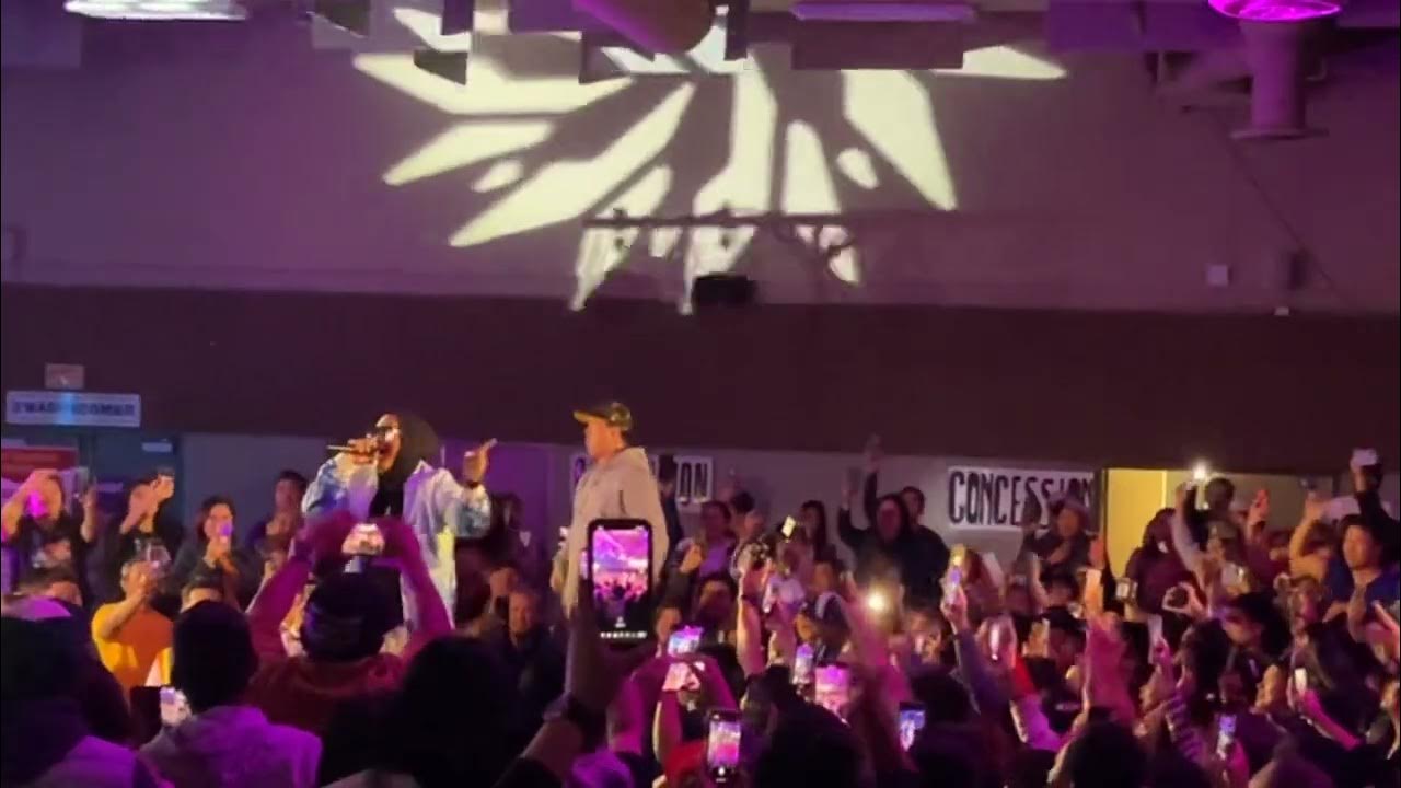Andrew E concert YouTube