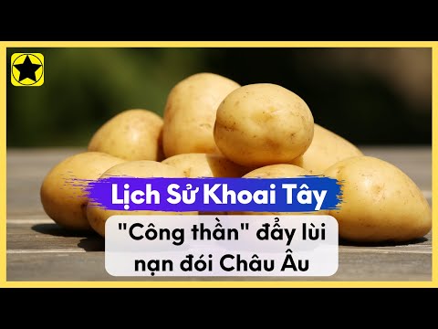 Video: Câu nào sau đây là một ví dụ về sự bừa bãi?