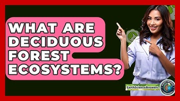 What Are Deciduous Forest Ecosystems? - Earth Science Answers