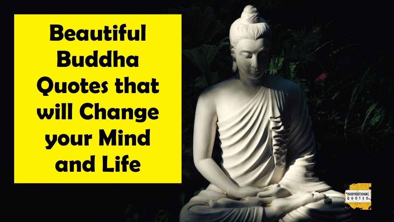 Heart Touching Buddha quotes that will change your Mind and Life
