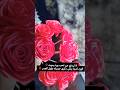 لا تهدي من تحب ورد يموت الورد لدينا يبقى ذكرى جميله طول العمر بوكيه ورد وردجوري  